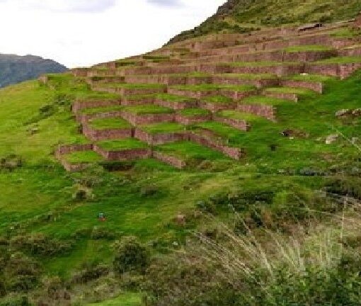 A grassy hillside with many blocks of grass.