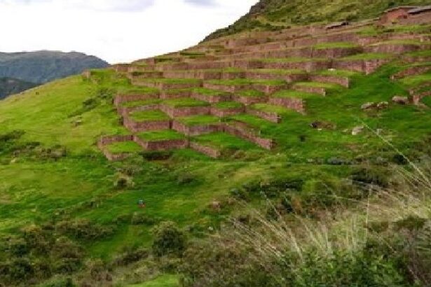 A grassy hillside with many blocks of grass.