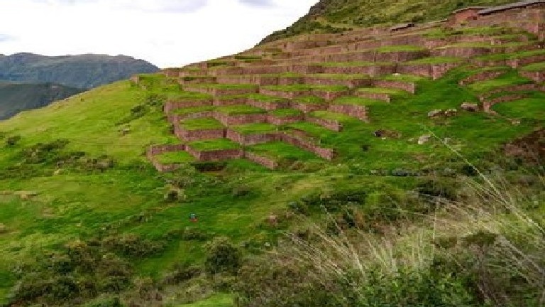 A grassy hillside with many blocks of grass.