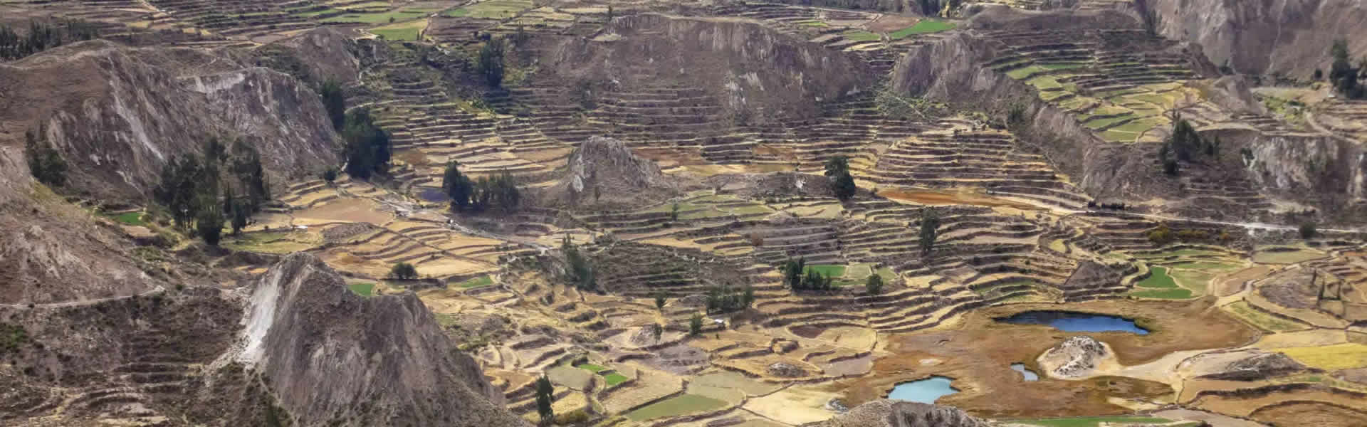 colca canyon peru tours