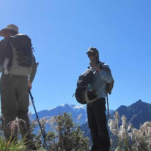 Hikers with backpacks enjoying mountain view.