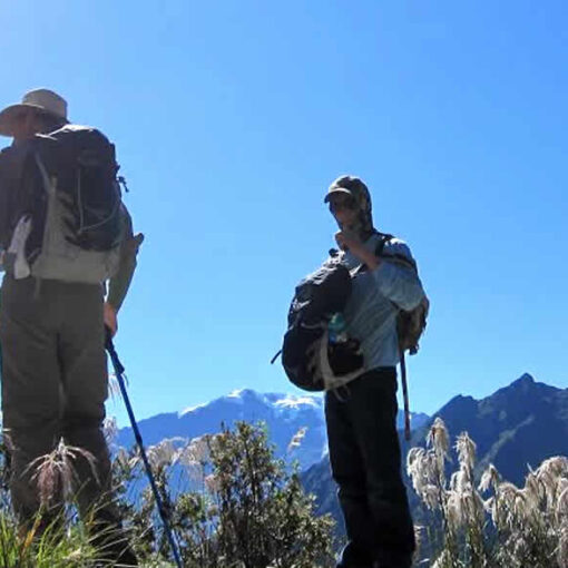 Hikers with backpacks on mountain trail.