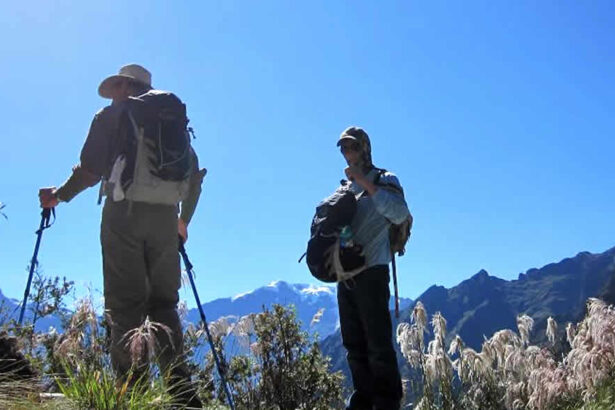 Hikers with backpacks on mountain trail.