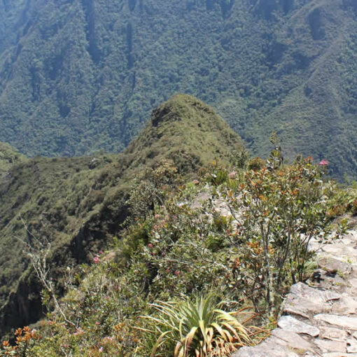 Hiker on mountain trail with stunning views.