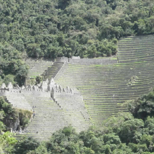 Inca ruins and terraced hillside.