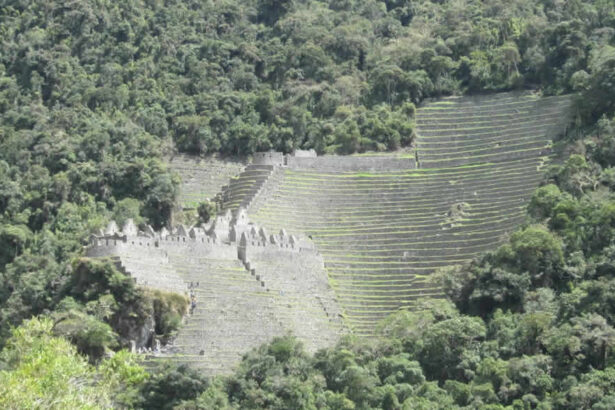 Inca ruins and terraced hillside.