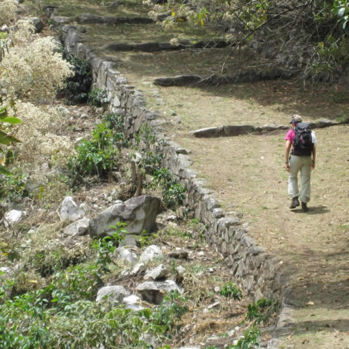 Hiker walking along ancient stone wall.