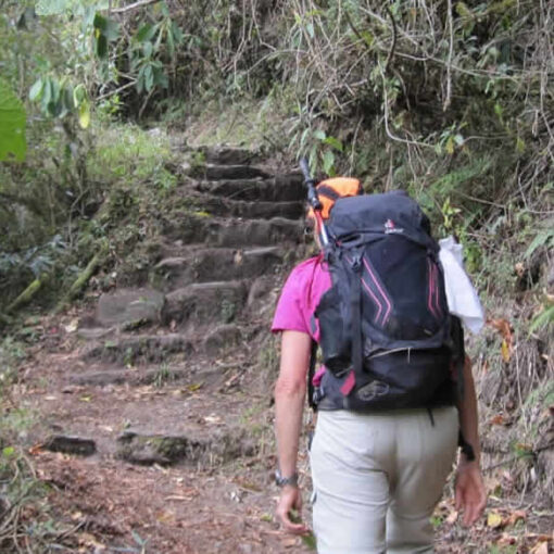 Hiker with backpack on jungle trail.