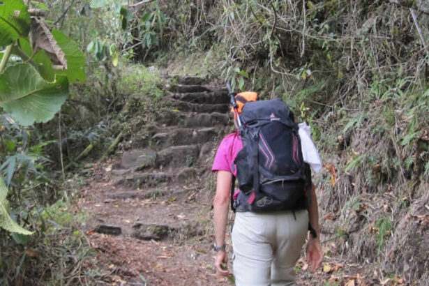 Hiker with backpack on jungle trail.