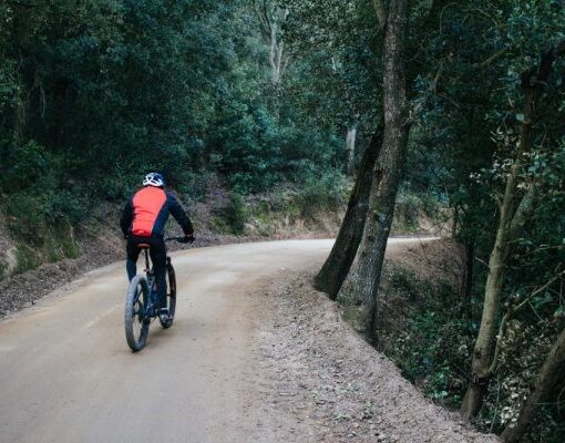 Cyclist riding mountain bike on trail.