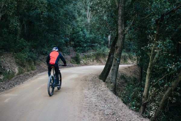 Cyclist riding mountain bike on trail.